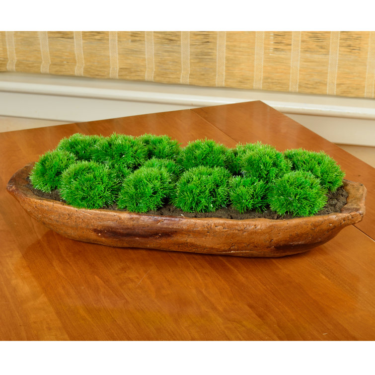 Picnic at Ascot 5'' Faux Moss Plant in Planter & Reviews Wayfair